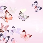 veel vlinders op een condoleancekaart